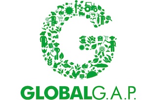 logo global GAP